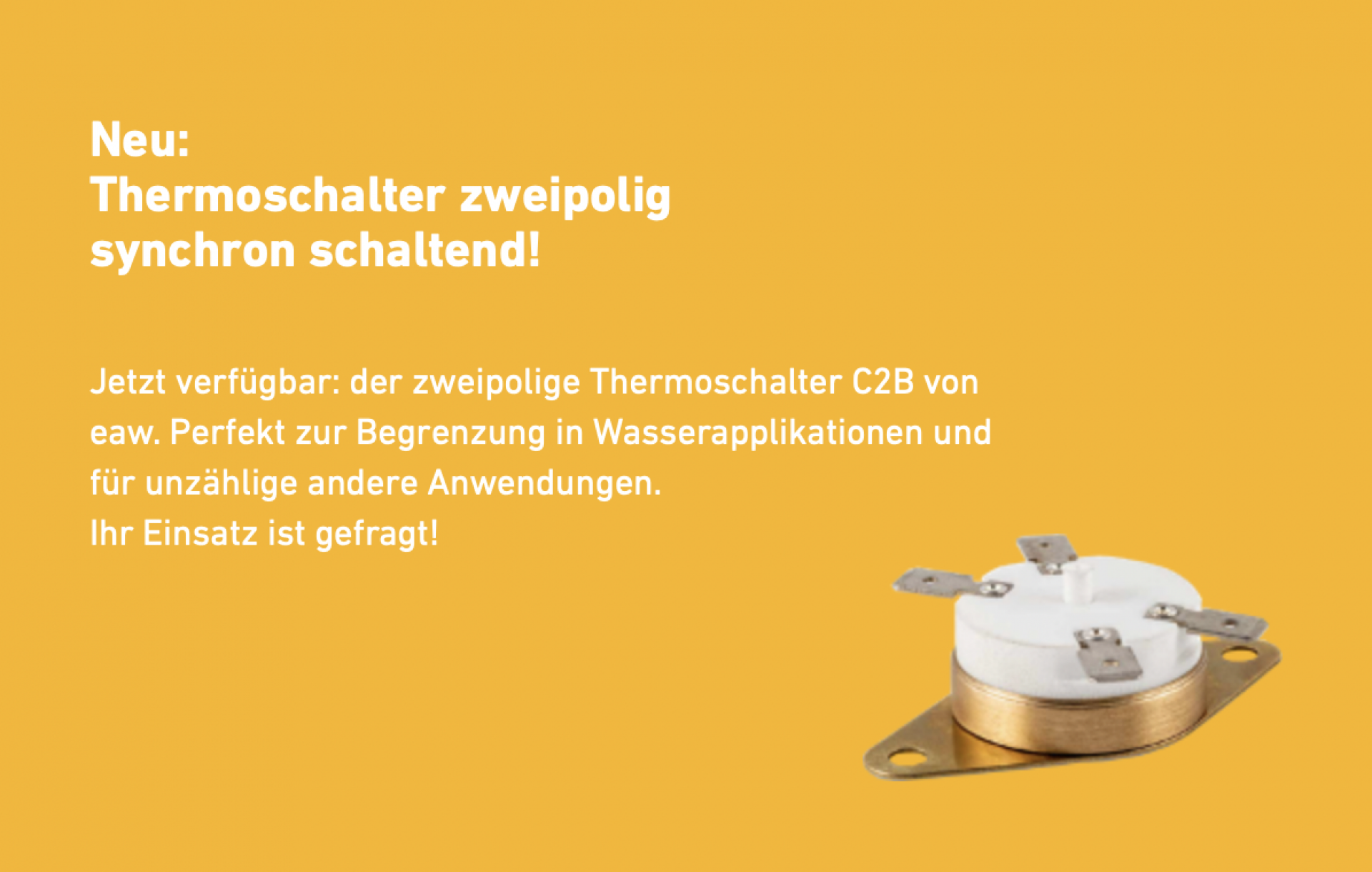 Thermoschalter zweipolig